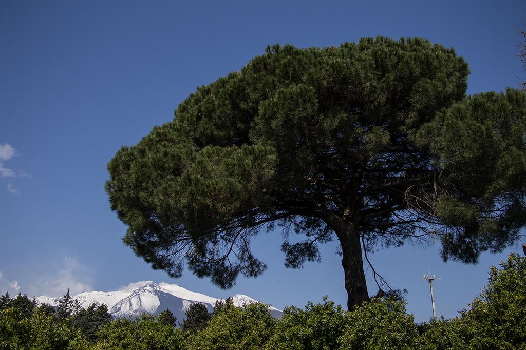 Il Melograno Villa San Leonardello Eksteriør bilde