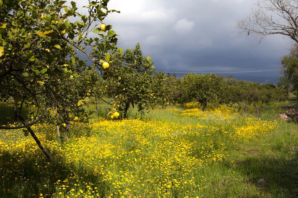 Il Melograno Villa San Leonardello Eksteriør bilde